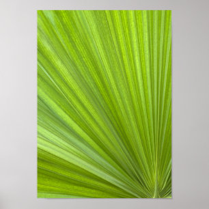 Poster Abstrait Tropical Green Palm Frond