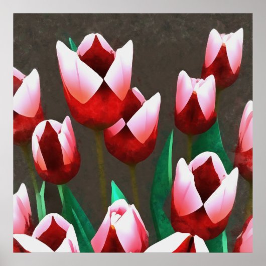 Poster Abstraite florale des tulipes rouges (Devant)