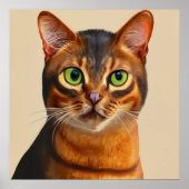 Poster Abyssinian - Portrait de chat (Devant)