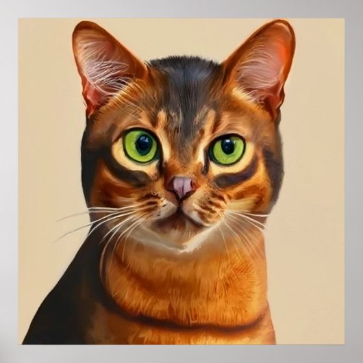 Poster Abyssinian - Portrait de chat (Devant)