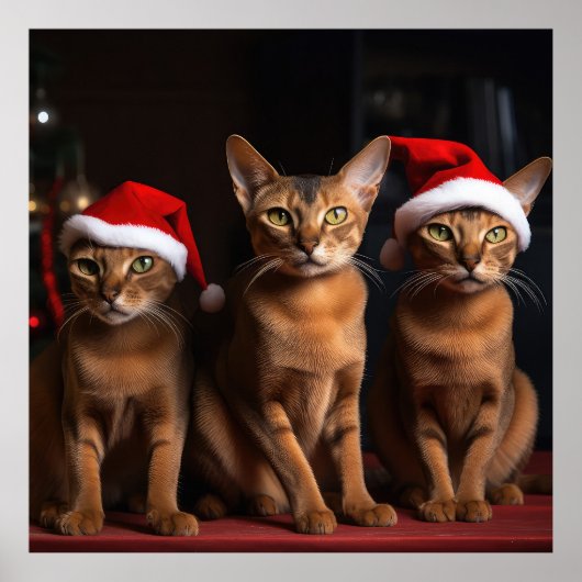Poster Abyssinian près de la cheminée Noël (Devant)