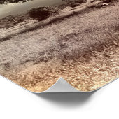 Poster Acacia noir et blanc sur la savane africaine (Coin)