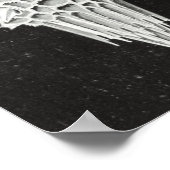 Poster Acanthophracta, animal aquatique Wunderstrahlinge (Coin)