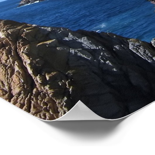 Poster Acapulco (Coin)