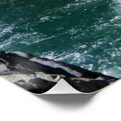 Poster Acapulco Cliff Diver (Coin)