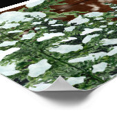 Poster Accessoire de photo d'anniversaire de pays de bois (Coin)