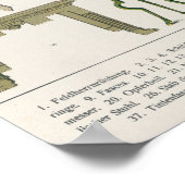 Poster Accessoires romains (Coin)