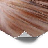 Poster Accomplissement (Coin)