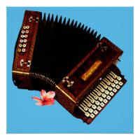 Accordion et Plumeria - Instrument de musique