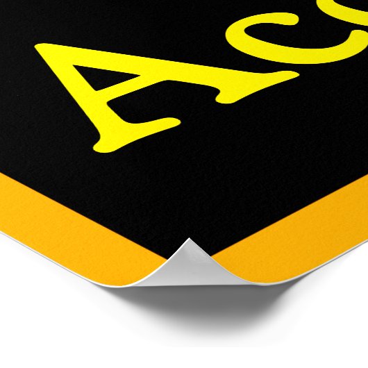 Poster Accountability (Coin)