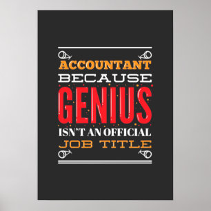 Poster Accountant An Offical Job Title