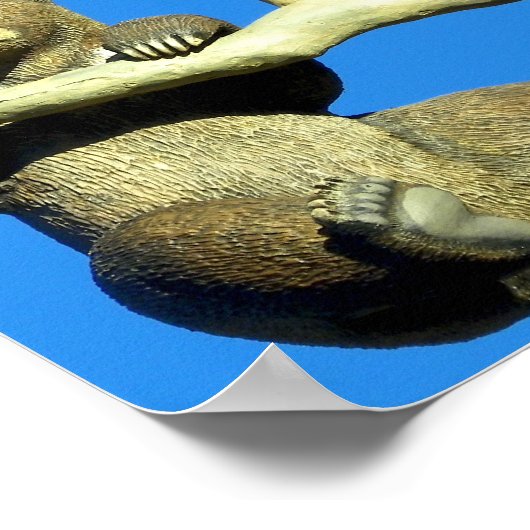 Poster accroche-toi là (Coin)