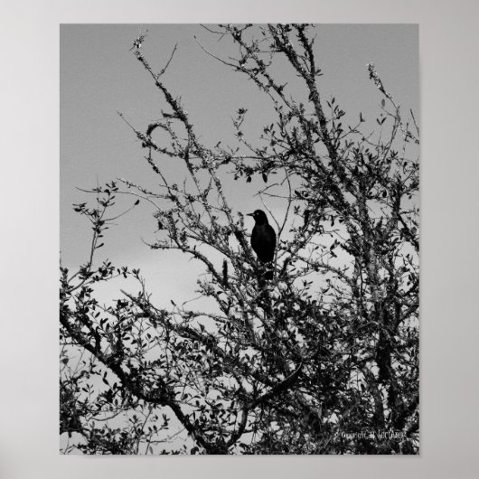 Poster Accrocher (Devant)