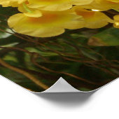 Poster Accrocher les orchidées jaunes Fleurs tropicales (Coin)