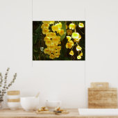 Poster Accrocher les orchidées jaunes Fleurs tropicales (Cuisine)