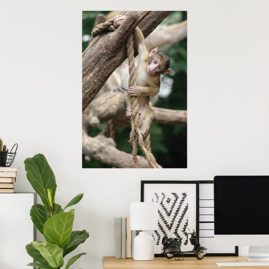 Poster Accrochez-vous (Bureau à domicile)