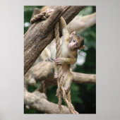 Poster Accrochez-vous (Devant)