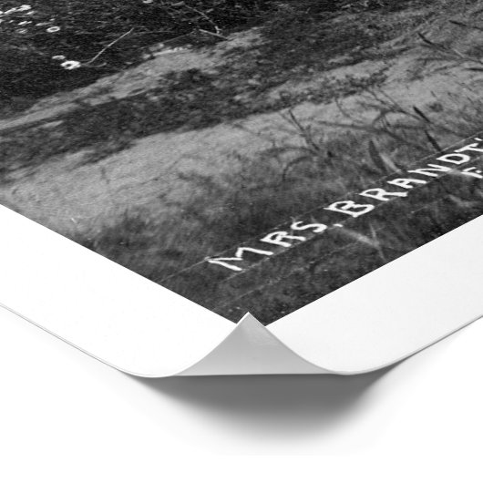 Poster Accueil Chats Fairbanks Alaska 1916 (Coin)