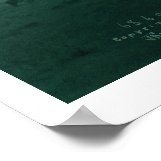 Poster Accueil de Mountain Crow (Coin)