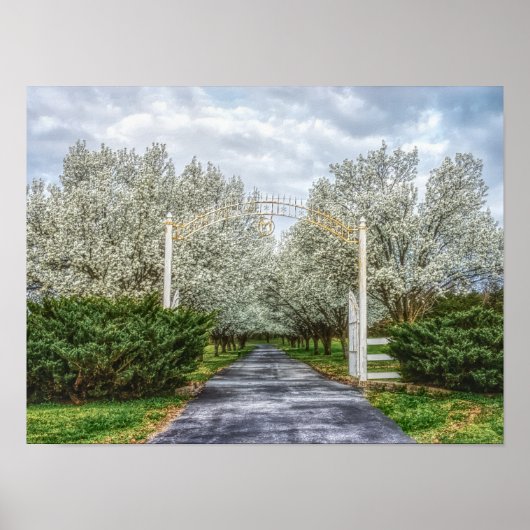 Poster Accueil du lecteur Spring (Devant)