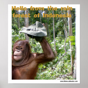 Poster Accueil forêt tropicale orangoutaise