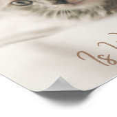 Poster Accueil Où Est Votre Chat (Coin)