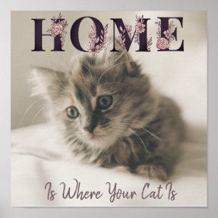 Poster Accueil Où Est Votre Chat