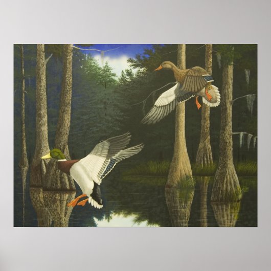 Poster Accueil sûr (Devant)