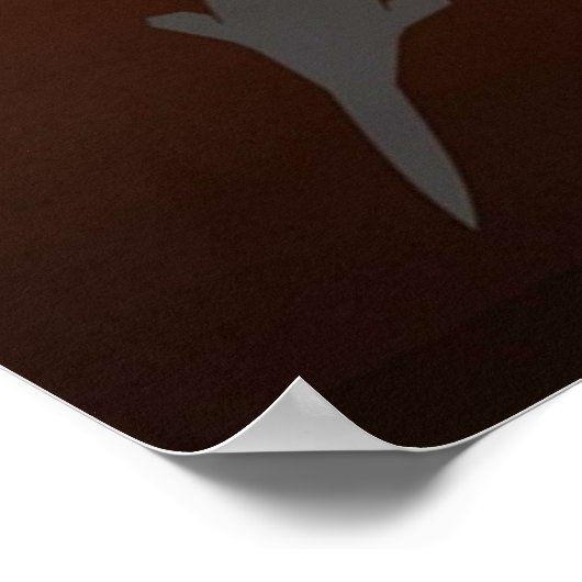 Poster Ace Combat 0 Solo Wing (Coin)