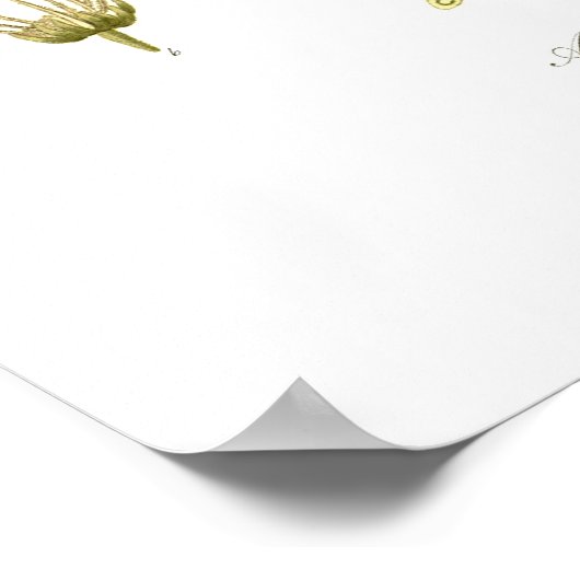 Poster Acer pseudo-platanus (Coin)