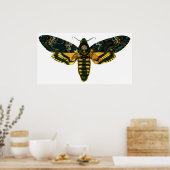 Poster Acherontia atropos (Moelle Hawkmoth de la tête de  (Cuisine)