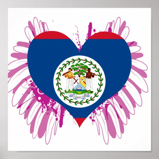 Poster Acheter Belize Flag (Devant)