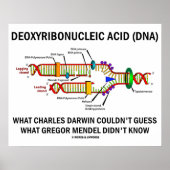 Poster Acide désoxyribonucléique (ADN) Darwin Mendel Dit  (Devant)