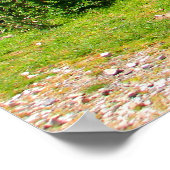Poster Acier ondulé multicolore (Coin)
