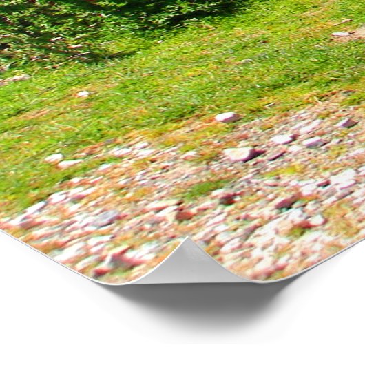 Poster Acier ondulé multicolore (Coin)