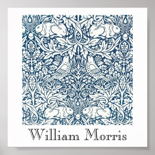 Poster - Acorns à la recherche Design 2 (Devant)