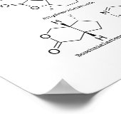 Poster Acteur de chat (Coin)