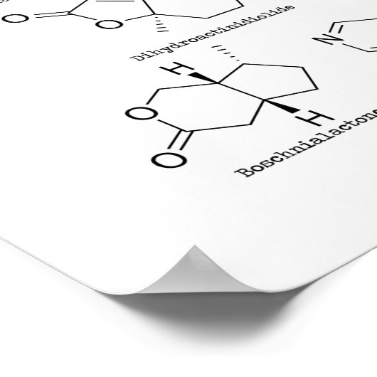 Poster Acteur de chat (Coin)