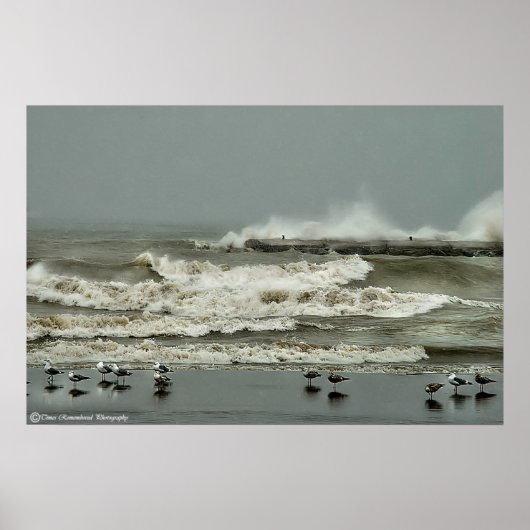 Poster Action de vague n° 1 (Devant)