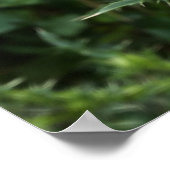 Poster Activité estivale (Coin)