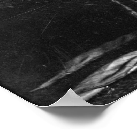 Poster Actrice Lillian Gish (Coin)