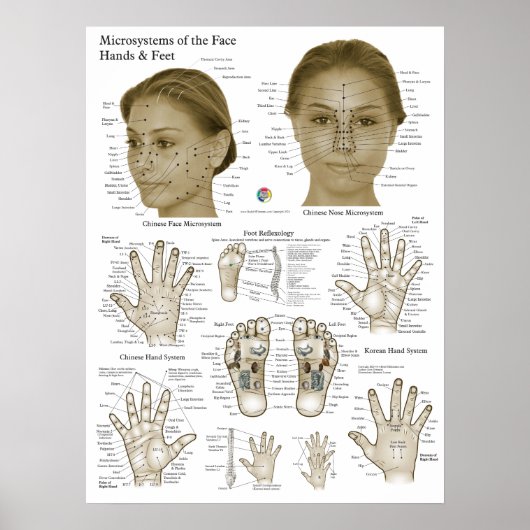 Poster Acupressure Points Face Hand Feet (Devant)