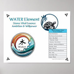 Poster Acupuncture de l'élément Eau