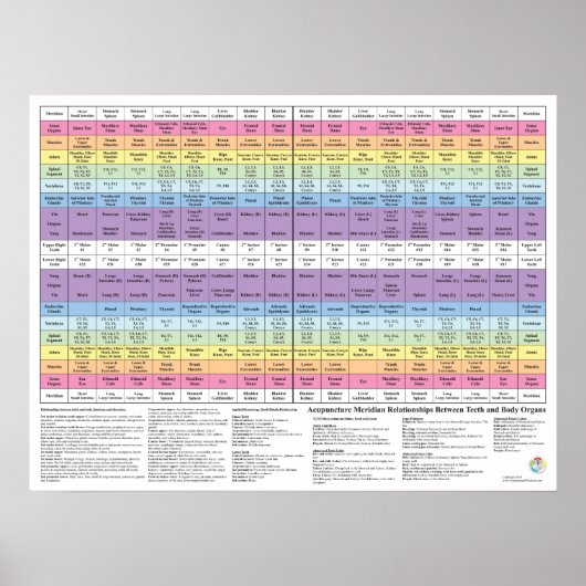 Poster Acupuncture dentaire Meridian Health Chart (Devant)