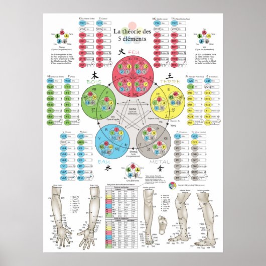 Poster Acupuncture des Cinq Éléments Française (Devant)