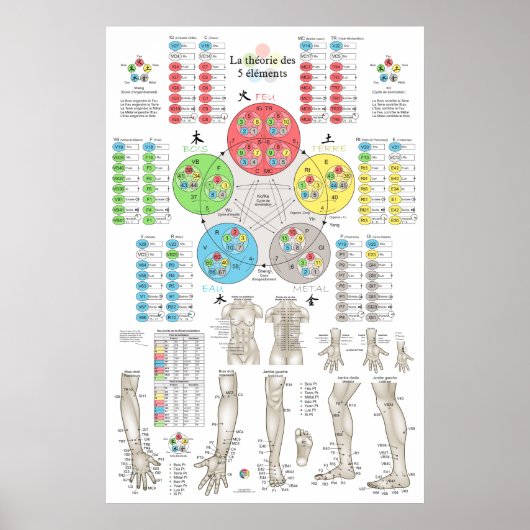 Poster Acupuncture des Cinq Éléments Française (Devant)