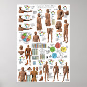 Poster Acupuncture Meridian Points and Pathways (Devant)