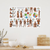 Poster Acupuncture Meridian Points and Pathways (Cuisine)