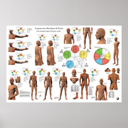 Poster Acupuncture Meridian Points and Pathways (Devant)