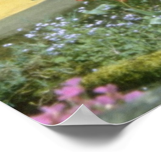 Poster Adare rose, fleurs de Limerick (Coin)